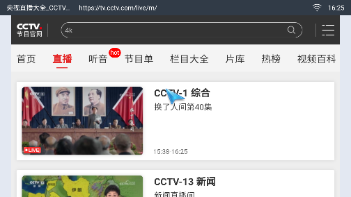 飞视浏览器TV版截图4