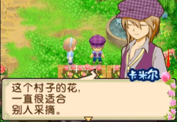 牧场物语双子村手机版