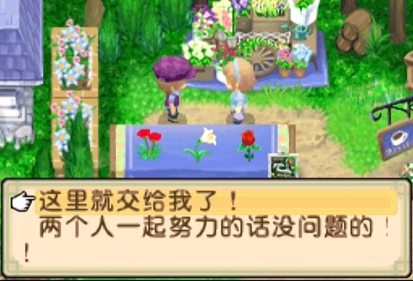 牧场物语双子村手机版