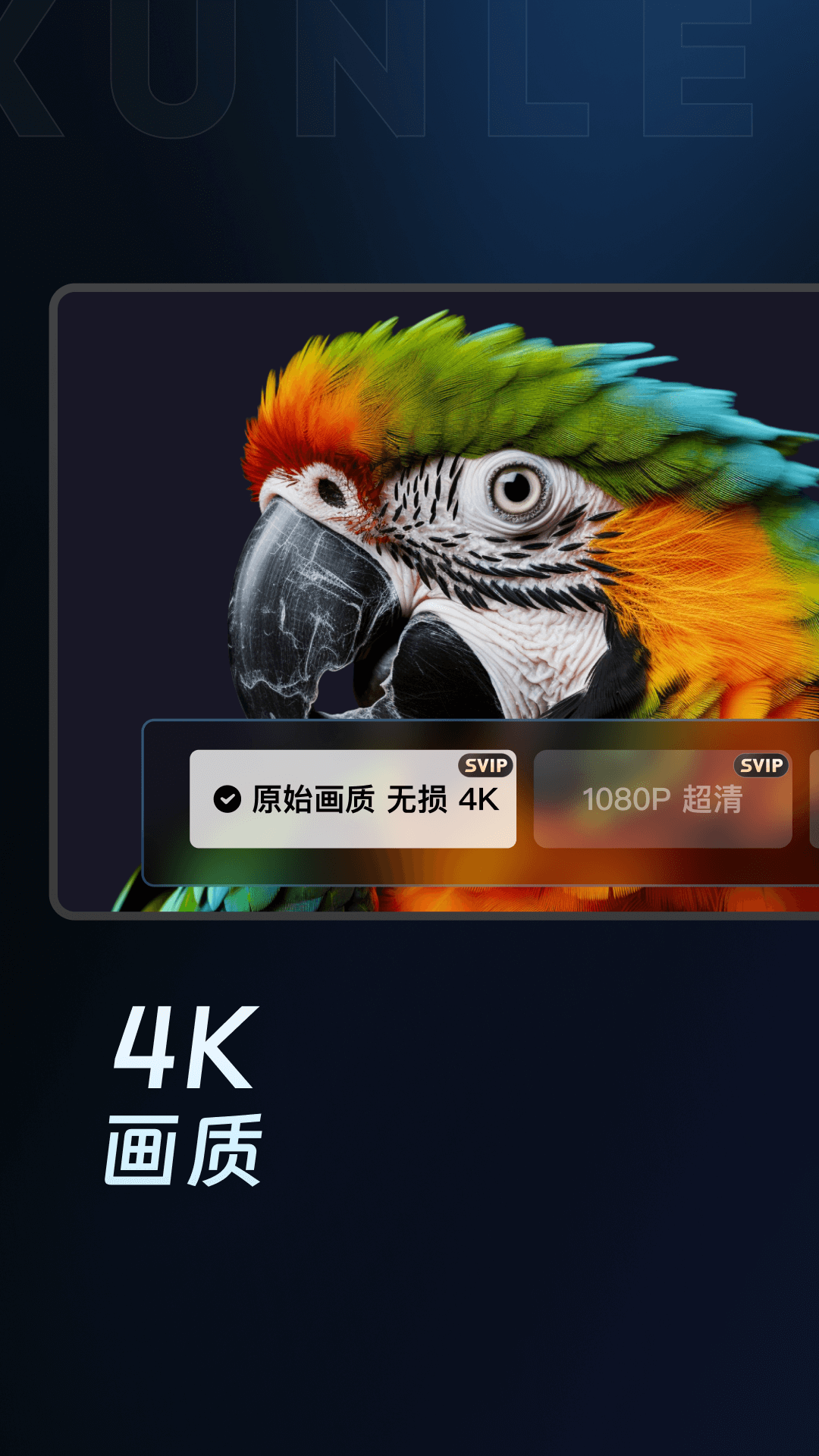 迅雷云盘TV版截图4