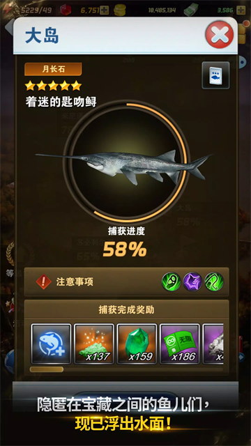 钓鱼发烧友安卓版截图4
