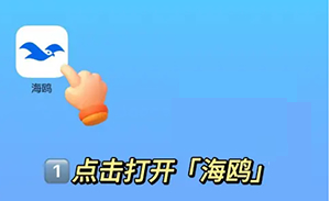 海鸥聊天最新版
