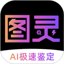 图灵AI鉴定