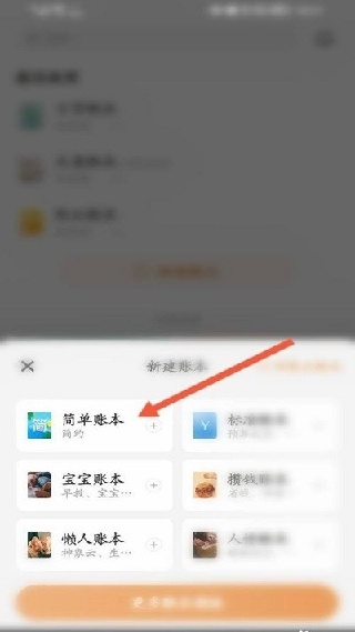 随手记专业版