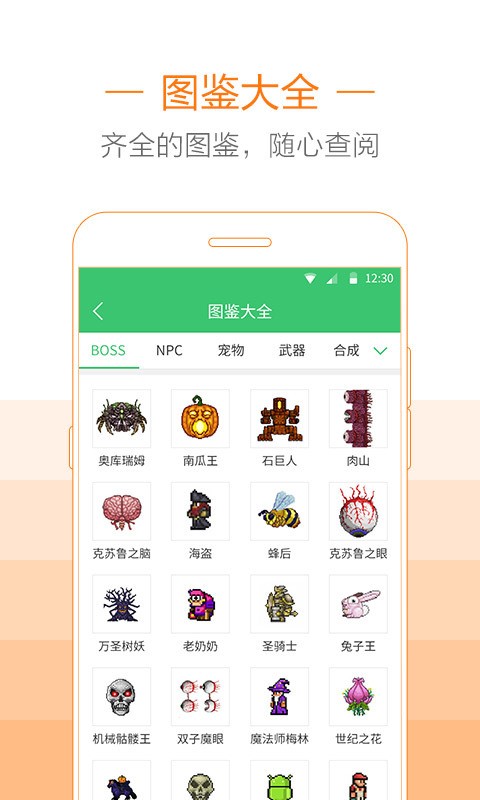 泰拉瑞亚助手安卓版截图3