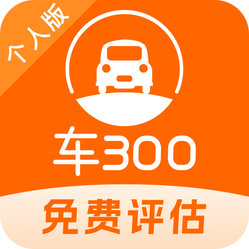 车300二手车估价专业版