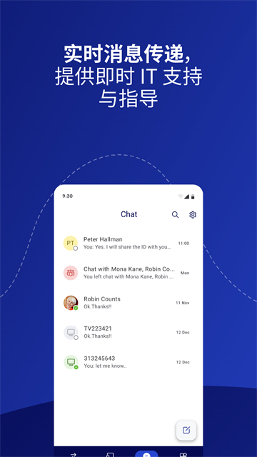 TeamViewer汉化版截图2