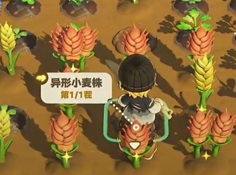 星布谷地变异作物种植攻略