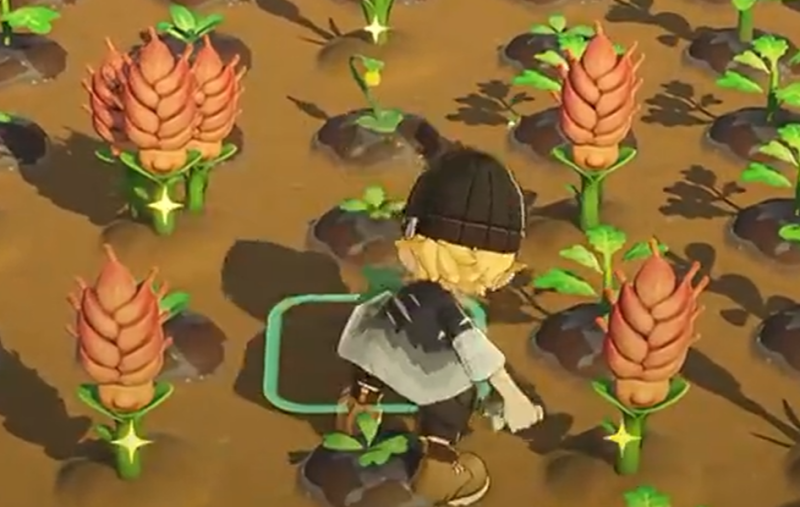 星布谷地变异作物种植攻略