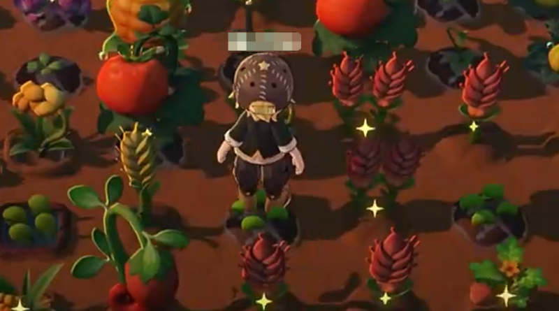 星布谷地变异作物种植攻略