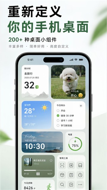 神奇小部件直装版截图2