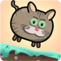 快乐的肥猫安卓版