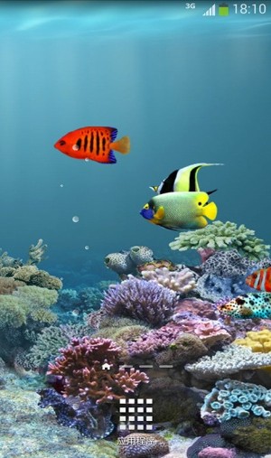 水族馆动态壁纸电视版