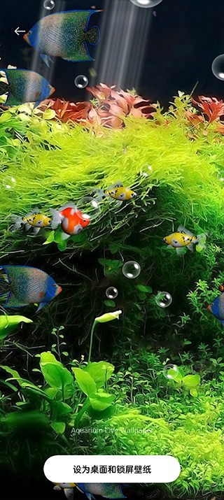 水族馆动态壁纸电视版