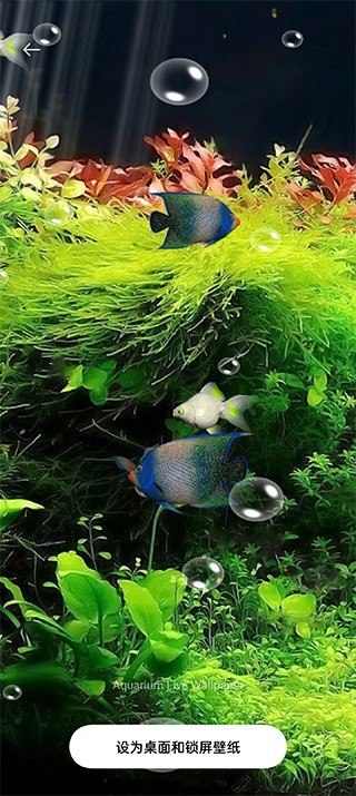 水族馆动态壁纸电视版截图2