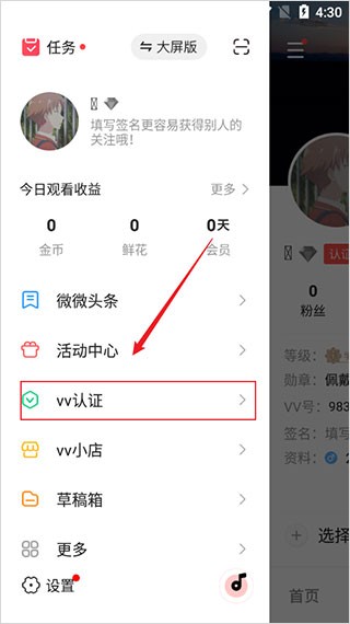 VV音乐最新版