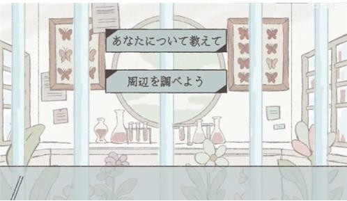 在标本箱中等待羽化