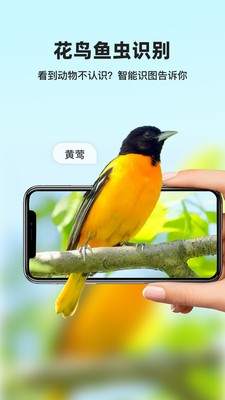 凤灵智能识图截图5