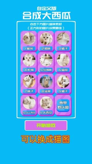合成大西瓜单机版截图3