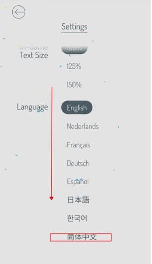 忆落谜境中文版
