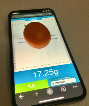 Touchscale屏幕电子秤怎么打开 电子秤准确吗