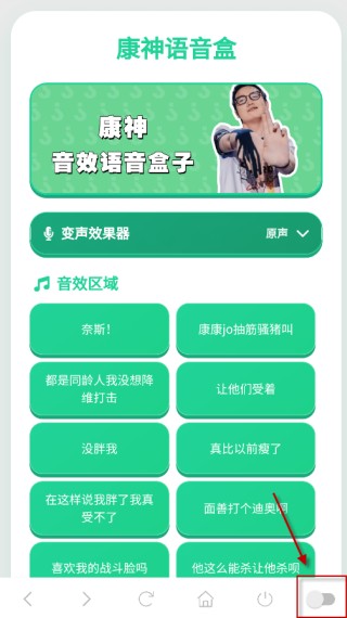 康神语音盒