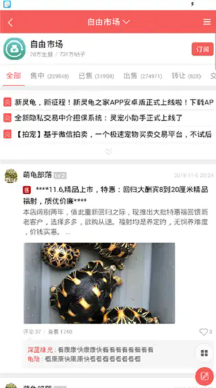 灵龟之家截图1