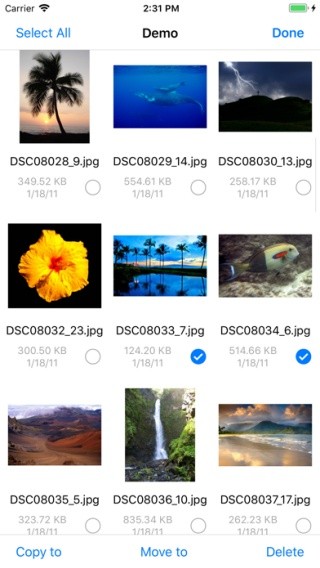 FE文件管理器专业版